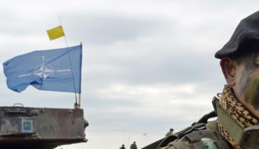Навроцки: в большинстве поляки не поддерживают политику официальной Варшавы